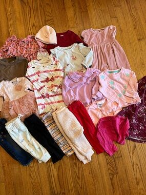 19 pc Lot of 9-12 month baby girl clothes